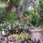 World Botanical Gardens - Hawaii